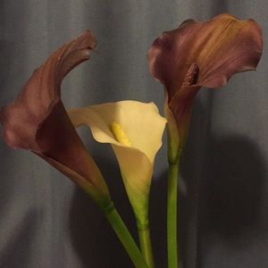 Meet your Posher, Sandy